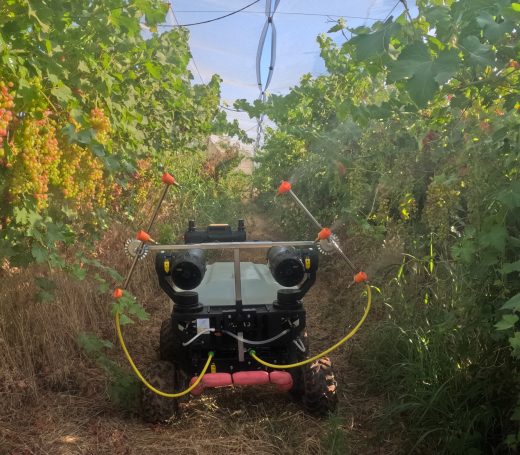 Aplicación en viñedos Biológicos