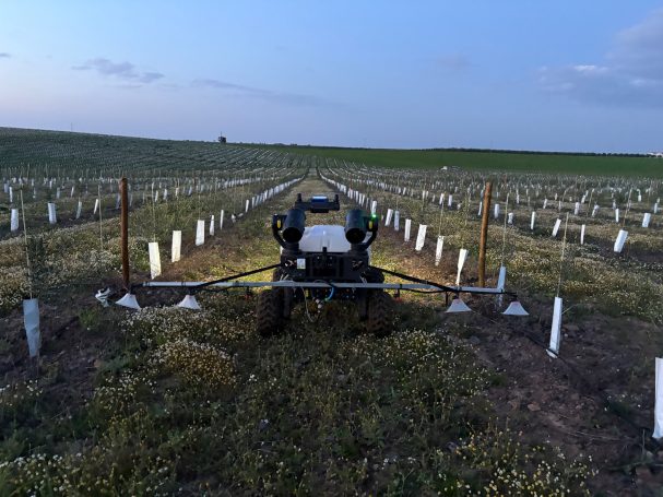 Tratamiento con herbicida en calle de 4 m
