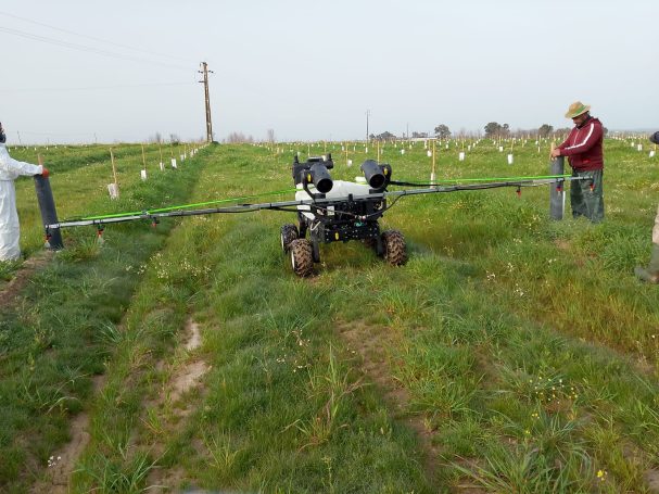 Tratamiento con herbicida en calle de 6 m