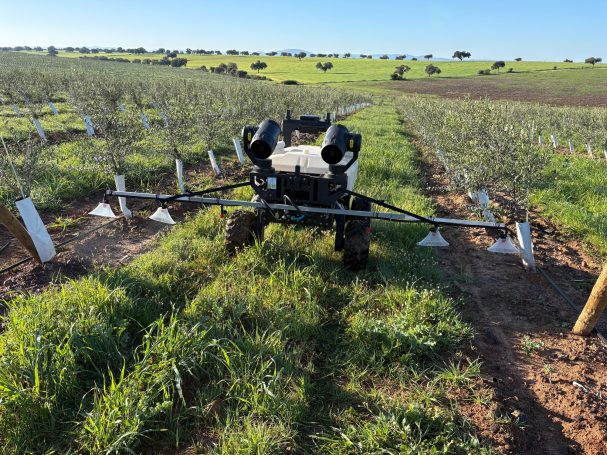 Tratamiento con herbicida en calle de 4 m